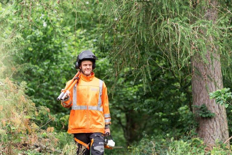 Trädfällning i Skåne arborist som erbjuder hjälp att fälla träd